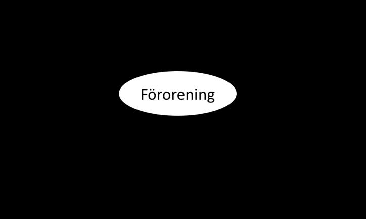 Figur 2. De primära exponeringsvägarna vid humanriskbedömningar vid kontakt med kontaminerad jord modifierad från Törneman m.fl. (2009).