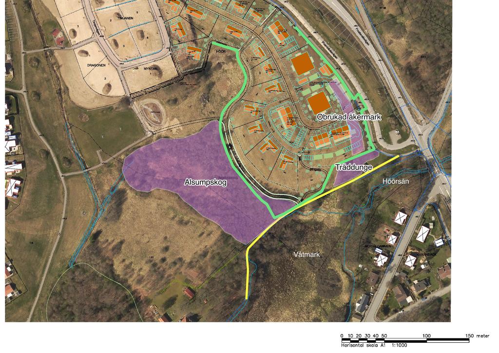 Naturvårdsutlåtande Kvarnbäck-Höör Naturcentrum projekt 1512 Objekt med potential för naturvärde är markerade med lila.