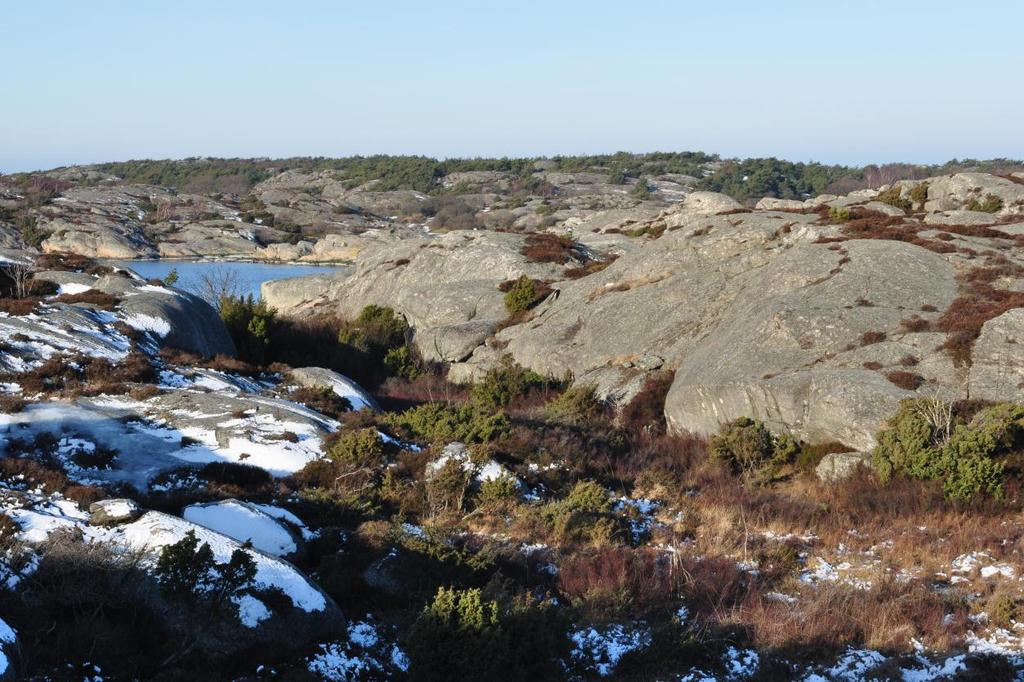 GRACE för delområde Klåverön Bilaga 1 Karta med restaureringsområden Bilaga 2 Historisk karta