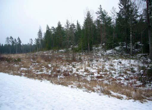 Val av plats för avsedd markanvändning är viktig med hänsyn till skyltläget invid E45. Platsen ligger även i anslutning till befintligt verksamhetsområde, samt finns befintlig gatustruktur.