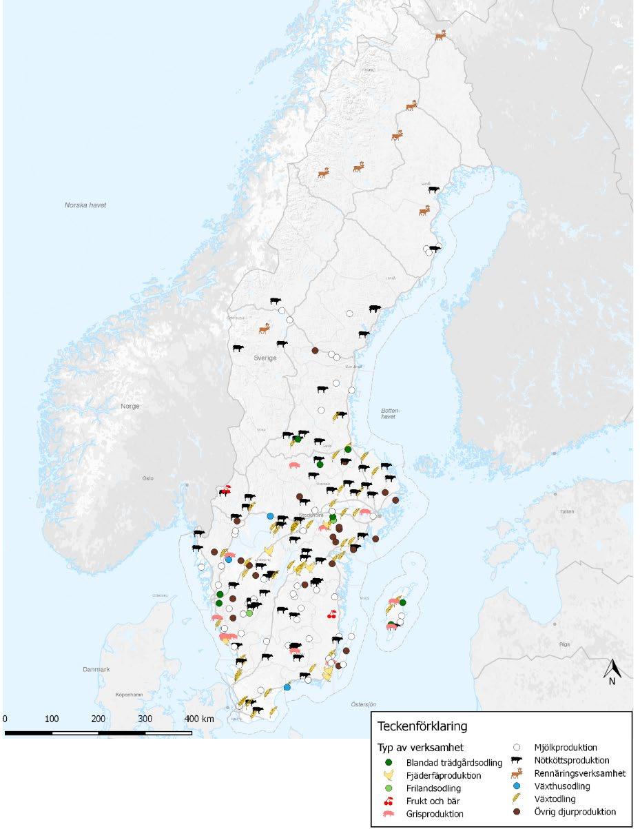 KAPITEL 2 STARTSTÖD TILL UNGA FÖRETAGARE Renar i norr, växtproduktion och nötdjur i söder 246 ansökningar beviljade Fram till den 2 april 2018 har 787 ansökningar kommit in och av dem har 246 stycken
