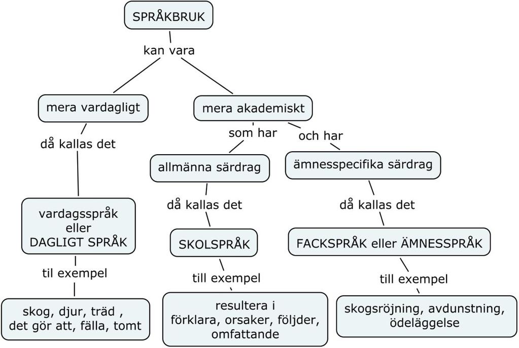 Gemensamma språkliga begrepp och redskap gör det möjligt för lärare att tillsammans tala om språkutveckling i ämnena.