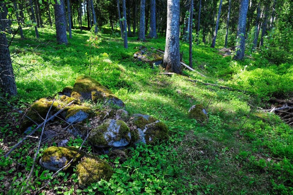 5 Tidigare undersökningar: Inventering år 1983, Anna Liisa Hirviluoto och Esa Suominen Inventering år 1996, Sirkka Liisa Seppälä Tidigare fynd: Vidare åtgärder: Kartutdrag: Utdrag ur grundkarta