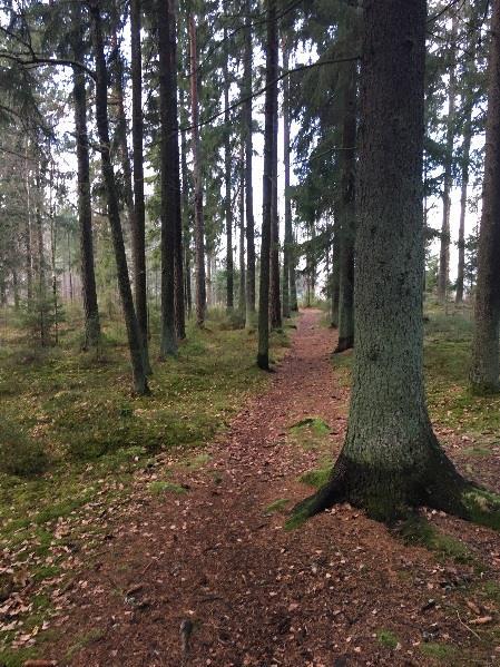 Samrådshadlig Förutsättigar, förädrigar och kosekveser 5 I dea del av plabeskrivige beskrivs förutsättigara för plaområdet, de fysiska förutsättigara vid och iom plaområdet, liksom de regler och