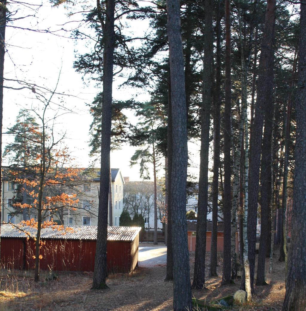 KV. ÄLGEN