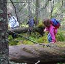 Naturskogsliknande barrskogar Gran- och tallskogar som fått stå opåverkade av skötsel och avverkningar har höga naturvärden.