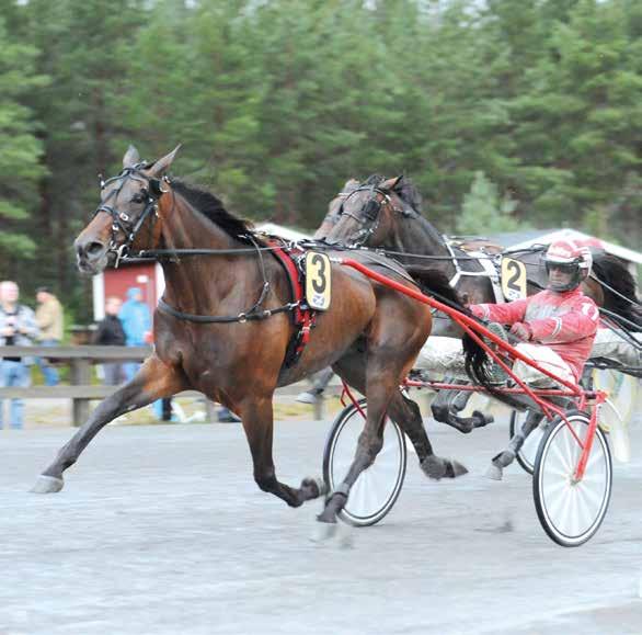 VAGGERYDS TRAVET Söndag 20 september.