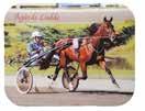Fredrik (Hellkvist Bo) Stenquist N J 5/9-1 11/ 2140 0 16,0 a 706 50 NOBLESSE MI 2 17,1 M 14,9 AK 68 350 9,mbr. s.