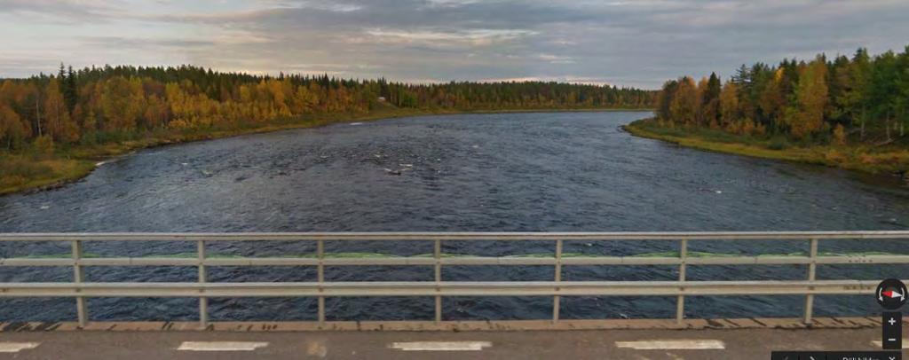 Data insamlat från bl.a. Tyskland, Schweiz, Spanien, Sverige och Norge bekräftar att det är framför allt mellanstora rovfåglar och ugglor (men även kråk- och måsfåglar), tillsammans med större fåglar