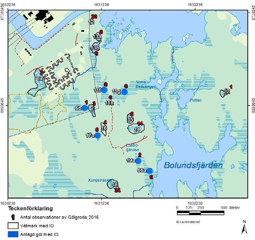 Figur 2 2. Kartan visar de gölar i Forsmark där gölgroda inventerats 2016. Blå punkter anger anlagda gölar. Vita siffror anger gölnummer. Röda siffror anger antalet registrerade vuxna djur. 2.3.