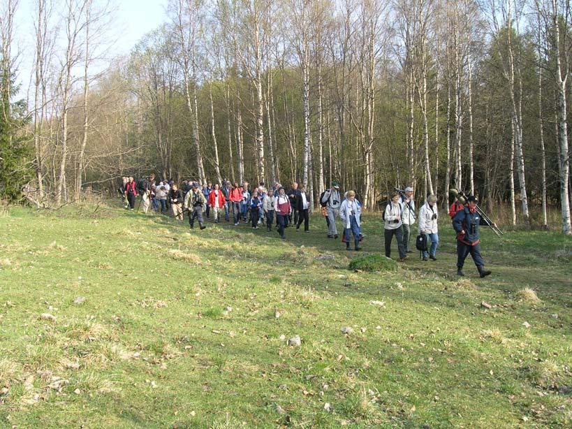 Bevarandeplan Natura 2000 Stornäset SE0710152 Namn: Stornäset