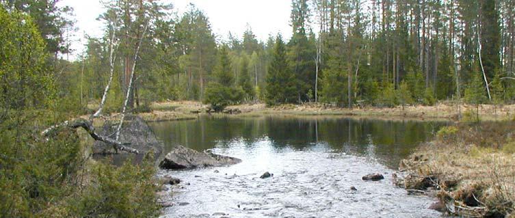 för utveckling av Ånge kommun 10 (13) Västernorrlands ansvarsarter (hotkategori inom parentes). Källa: www.y.lst.