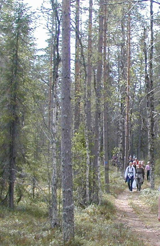 för utveckling av Ånge kommun 7 (13) Dessa objekt antas omfatta mindre men höga naturvärden. Åtgärder/aktiviteter kan möjligen planeras i ett sådant objekt efter samråd.