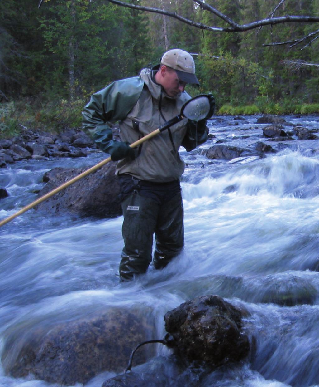 Förändring av vattenkemi, bottendjur och fisk i