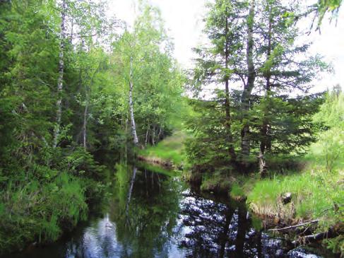 Höjdabäcken Sulfathalten har minskat signifikant. Effekterna på ph och buffringsförmåga har motverkats av högre flöden och en ökad mängd organiskt kol.