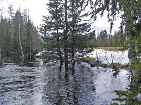 Den biologiska övervakningen startade i början av 2000-talet. Trots att tillgången på öring har minskat är tätheten mycket hög. Bottenfaunan har inte förändrats.