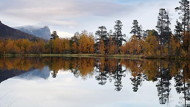 En nyttoanalys och bortfallsanalys utfördes av Region Halland av brukarenkäten som utfördes 2011. Projektet pågår fram till november 2013.