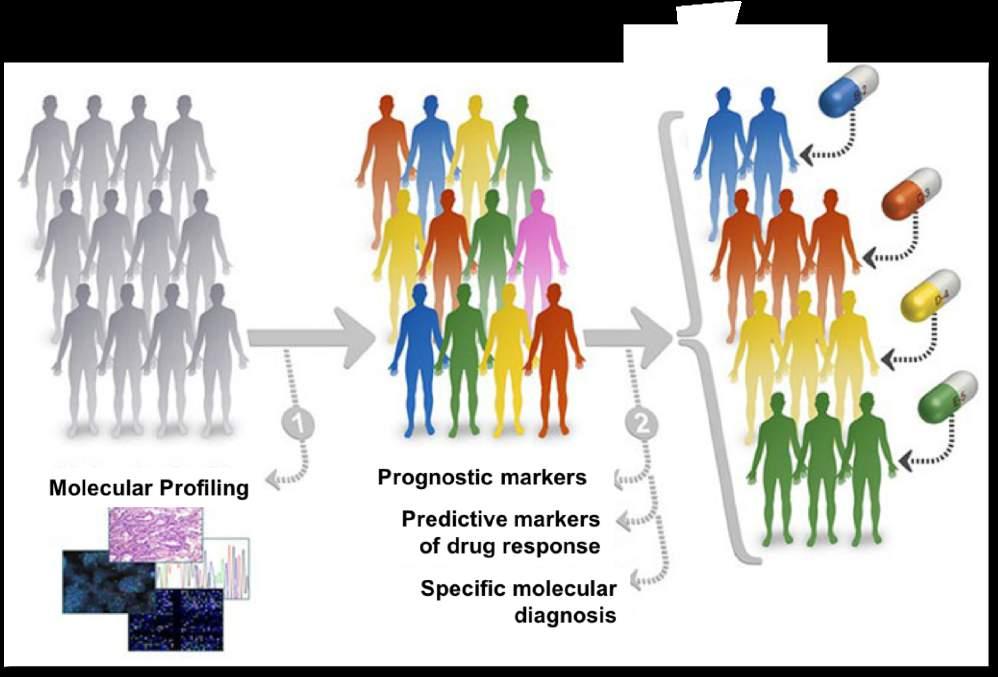 Precisionsmedicin Att ställa rätt diagnos och ge