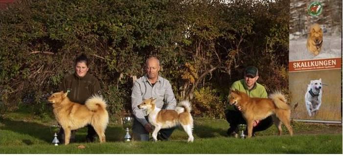 Några bilder från klubbens aktiviteter: Skallkungen: Prispallen: 1:a Ulf Grabbe med