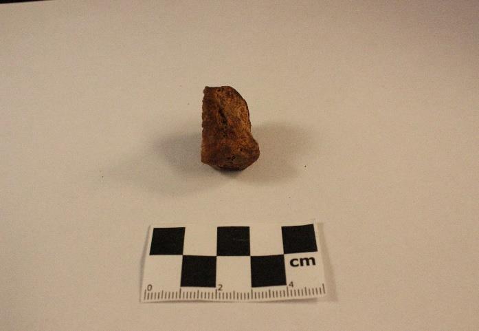Figur 54 är ett benfragment från vadbenet med en huggskada som har delat benet på mitten. Kanterna är skarpa och raka och innehar inga tecken på krosskada.