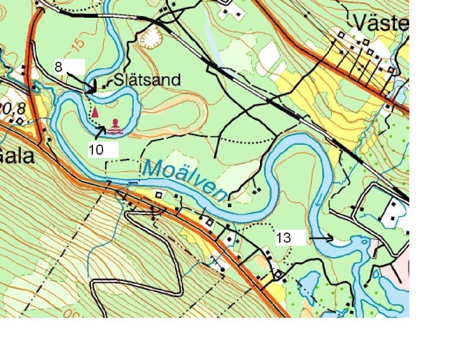 Resultat vid Moälven, N Anundsjöån och Nätraån 2007 Vid Moälven påträffades liksom 2006 strandsandjägare på få lokaler.