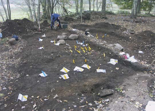 Foto: Marianne Lönn. Fig. 11. Graven efter nergrävning för hand. Från söder.