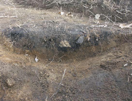 Fig. 28. Väggrester av bränd lera.
