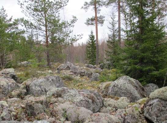 Bild 10.1. Blockfält sydväst om Kärmeskallio. Foto: Jynx 2014.