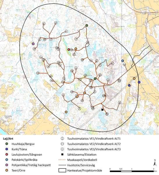 Art Vetenskapligt namn IUCN Dir EVA Informationskälla törnskata Lanius collurio NT Tiira skrattmås Larus ridibundus NT Tiira, fältinventeringen rödstjärt Phoenicurus phoenicurus X Tiira tretåig
