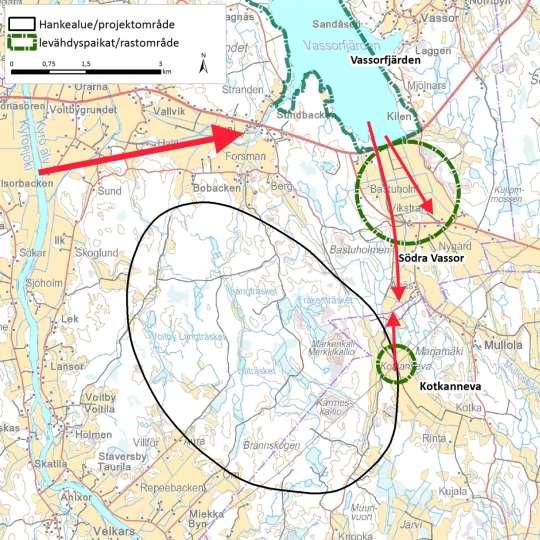 i Södra Vassor, där en del gäss, svanar och tranor rastar varje år. Antalet är inte särdeles stort; några tiotal eller mer sällan ett hundratal individer (Jynx 2014b).