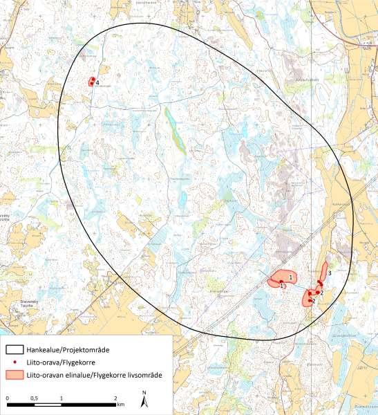 livsmiljö för flygekorre. Objektet har avgränsats som ett värdefullt naturobjekt på basis av växtligheten, trots att inga observationer av flygekorre har gjorts på området. Bild 10.14.