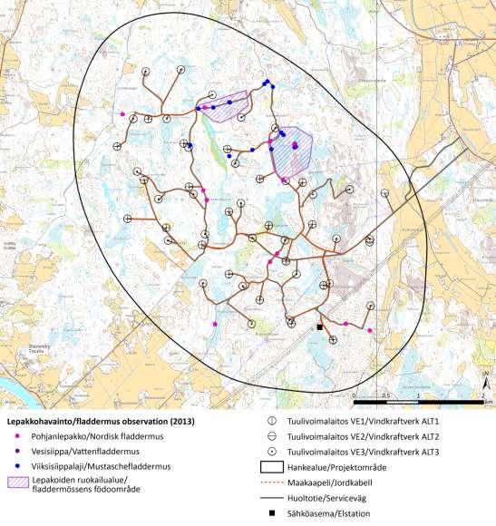 Bild 10.16. Fladdermusobservationer och värdefulla födoområden för fladdermöss på Märkenkalls projektområde (Jynx 2013).