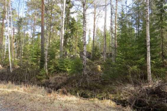 5 TEKNISK BESKRIVNING AV PROJEKTET 5.1 Allmän beskrivning av projektområdet Projektområdet för Märkenkall vindkraftspark ligger på gränsen mellan Vasa stad och Korsholms kommun.