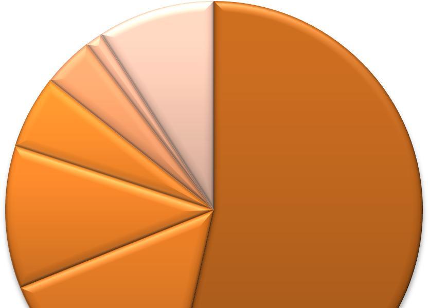 Precios försäljning 1 juli 31 december 2010 fördelat på branscher: Offentlig sektor 54% Industi 15% Tjänsteföretag 11% Bank, finans & försäkring 6% Bygg och fastigheter 4% Energi 1% Övrigt 9%