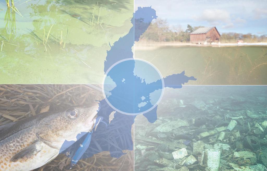 Övergödning Biologisk mångfald Fiske Baltic Eye Miljögifter Marie Löf