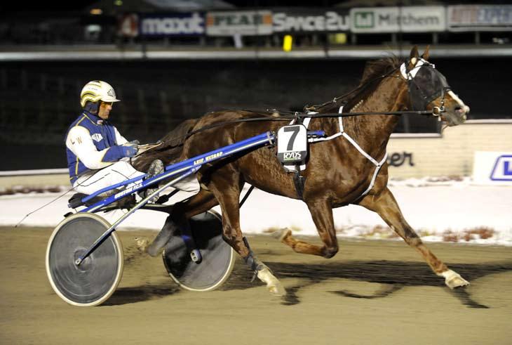 månadens häst april 2009 Turbo Viking Hingst 3 år e. Turbo Sund u. Västerbo Etiquette ue. Spotlite Lobell. Ägare: Kent-Åke Beckman, Mölnlycke. Uppfödare: Stall Bright HB, Rättvik.