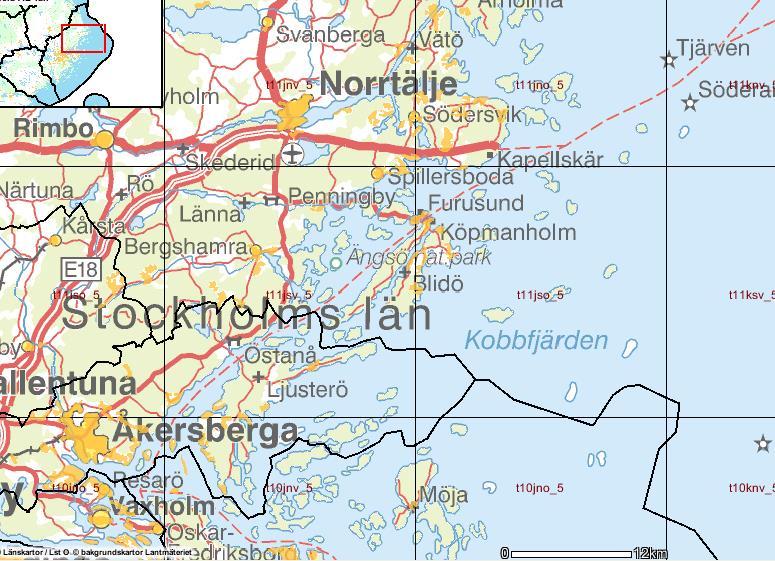 Kolonisering av vitmossor på öar