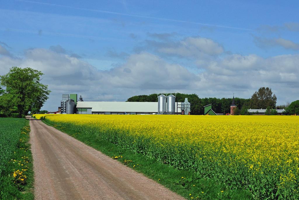 De plöjda försöken utfördes i Bollerup, Skåne, Bjertorp,