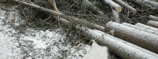 Utgångspunkten vid mätningarna var att massaveden apterades i längder på 4,9 meter, eller i fallande längder upp t.o.m. minsta toppdiameter på 5 cm under bark.