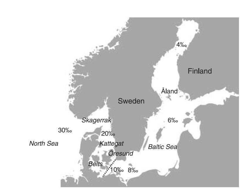 Östersjöns arter genetiskt särpräglade Johannesson & André 2006; Hemmer-Hansen et al 2007;