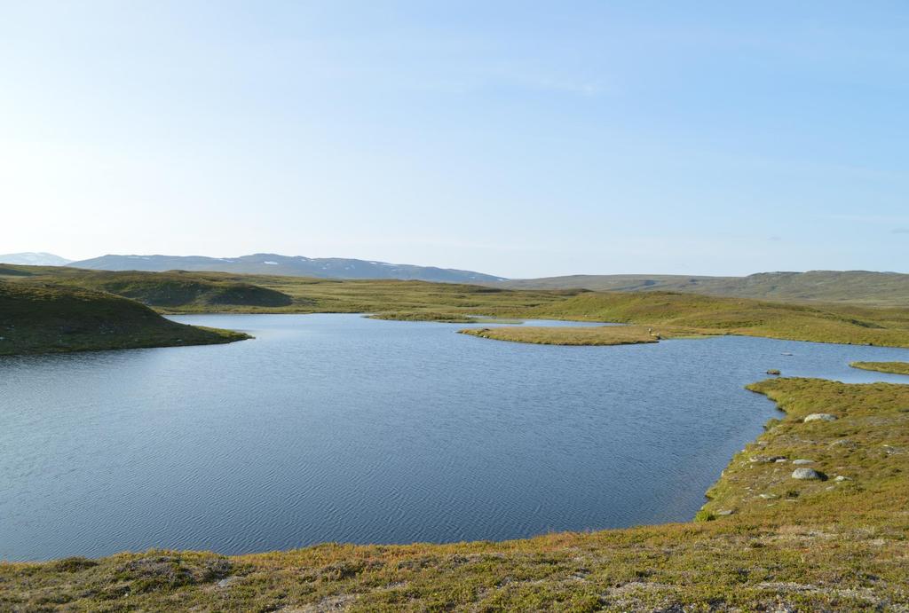 Öring i fjällsjöar Fjällsjöar särskilt sårbara för klimatförändringar Öring ensam eller en av få fiskarter Kulturellt och ekologiskt viktig; ex.