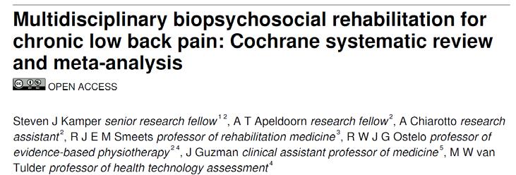 Conclusions Multidisciplinary biopsychosocial rehabilitation