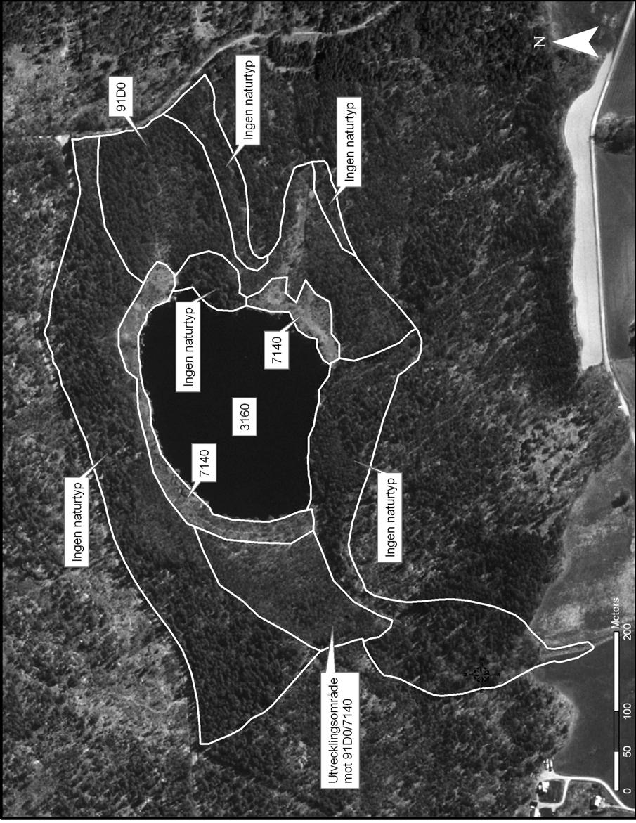 11 2. Digitalt flygfoto över Dammstakärret (flygår: 2000).