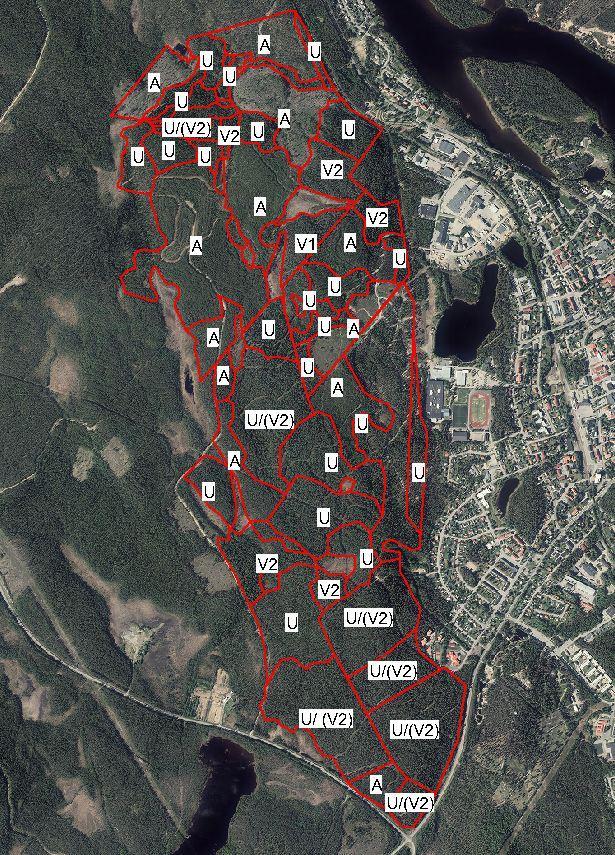 Helhetsmiljön Tannberget är ett stort sammanhängande område varav stora delar består av äldre/gammal talldominerad skog, bitvis större inslag av gran och även en del löv.