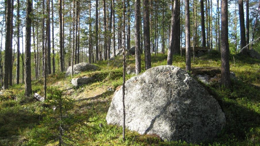 Bestånd: 1 Storlek: 6 ha Beskrivning: Föryngringsyta planterad med tall. Stor detaljhänsyn har tagits vid avverkningen. Fröträd har lämnats. Naturvärdesbedömning: Funktionsklass A. Klass 4.