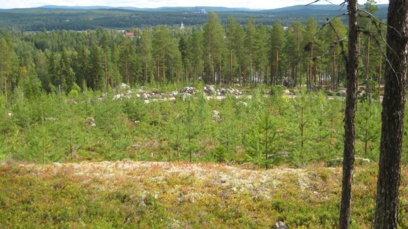 Skötselförslag: Bevara naturligt förekommande lövträd. Avverka tall och gran. I övrigt avverka med skärmställning. Bestånd: 29 Storlek: 6,7 ha Beskrivning: Östsluttning.