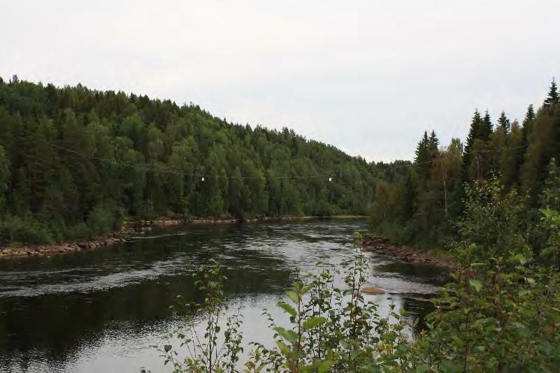avfärdats. Ledningen är i montaget utrustat med visuella fågelmarkeringar. Figur 7.