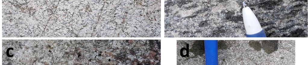 porfyrisk, d) leucoaplit. Graniten innehåller bara höga biotithalter (> 15%) där den har en stark linjering som definieras av biotit, se Figur 3b.