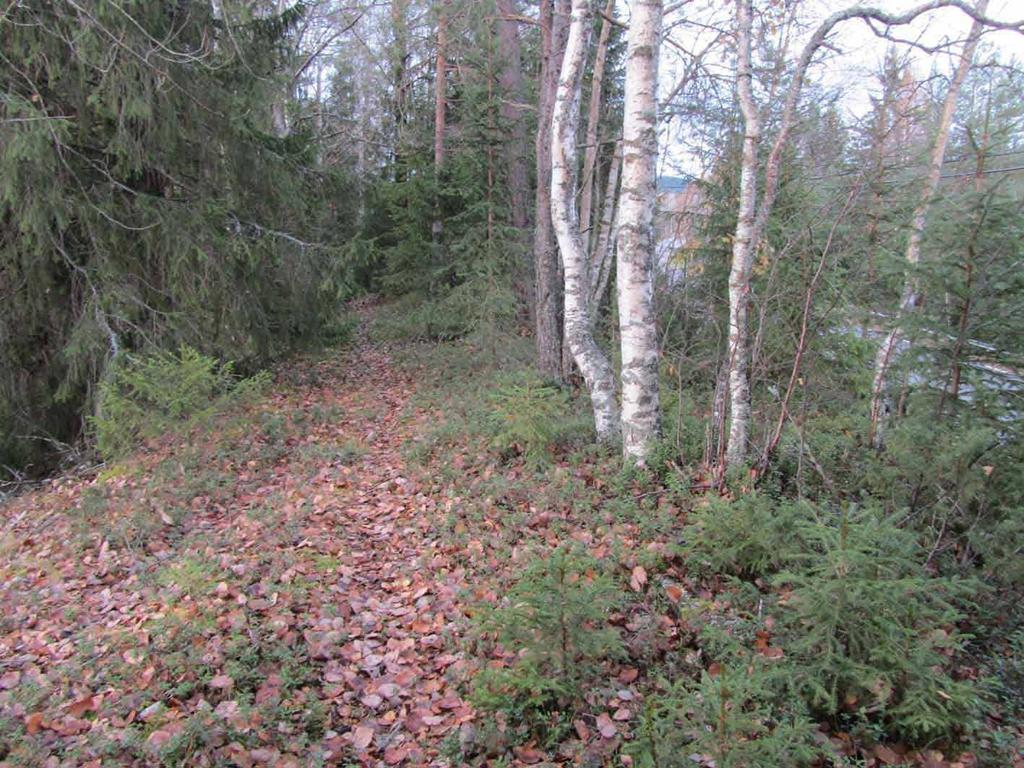 Den östligaste delen av den här aktuella sträckan går genom öppen och hävdad telängderna.