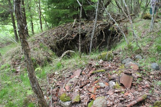 Figur 3. En av stukorna inom Trosa-Vagnhärad 545 i sluttningen mot golfbanan. I flera av groparna växer träd. Figur 4. En av stukorna som är centralt placerad är större.